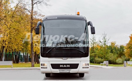 Автобус Man 51 место